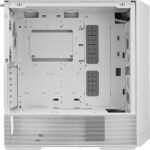 SKnuVuWL0G6z9Gk21ZxAVQRfitl69vTh9HU