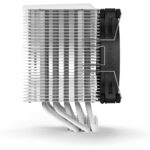 celer_image_10_-_2024-11-06t073005.561