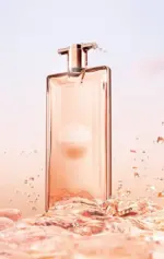 b41bce94-b953-43c9-87ec-0811e1bea737